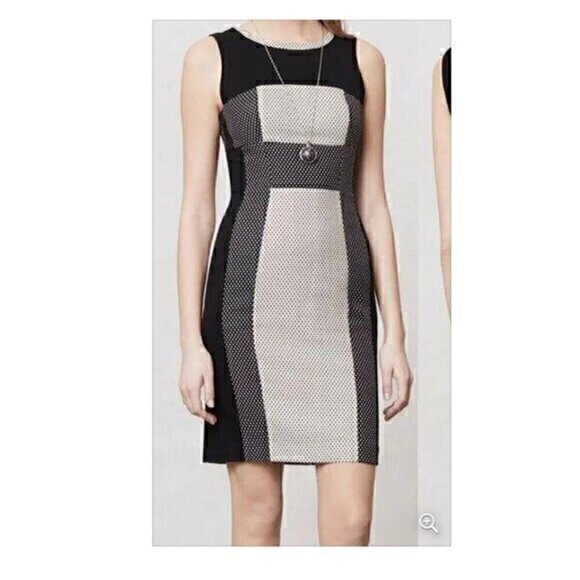 Anthropologie Dresses & Skirts - Anthropologie Yoana Baraschi Sheath Channeled Dots Column Dress